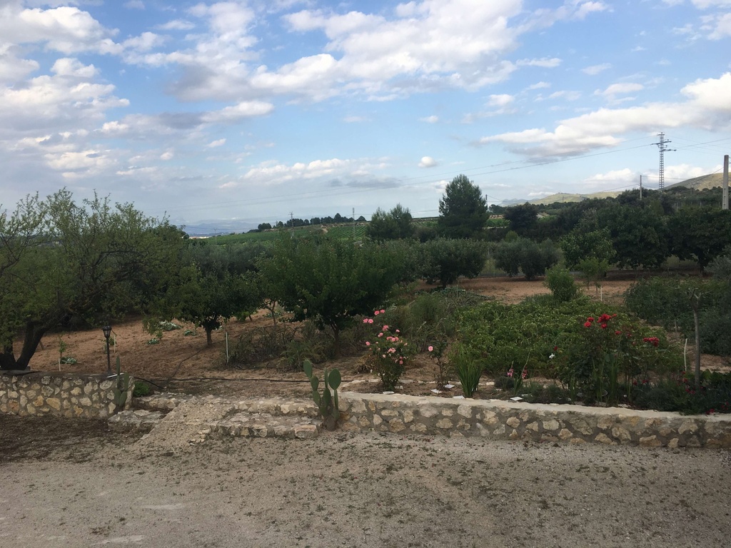 Chalet Ontinyent- La Barberana