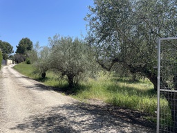 Casa de Campo Ontinyent - Umbría