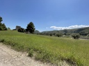 Casa de Campo Ontinyent - Umbría