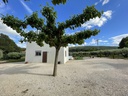 Chalet Ontinyent- Casa Garcia