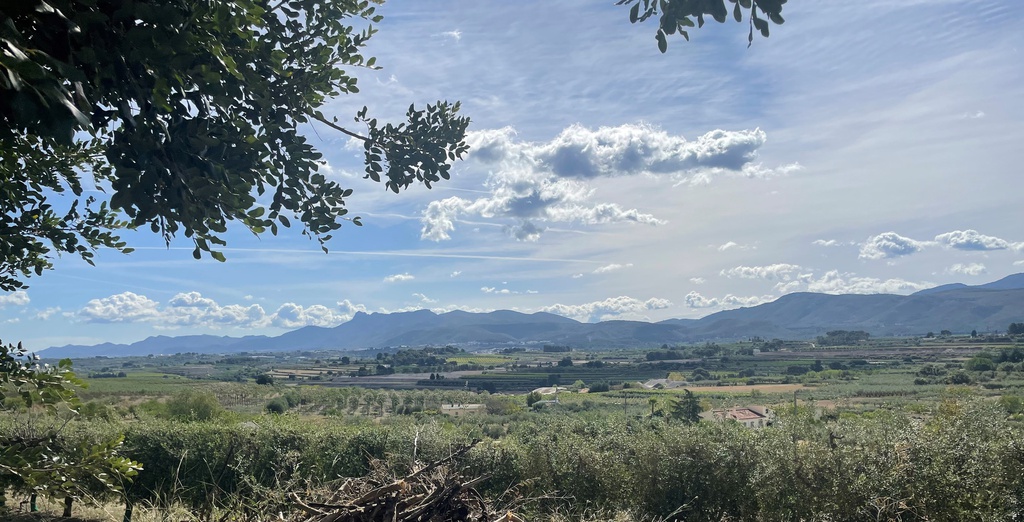 Finca Rústica - Agullent