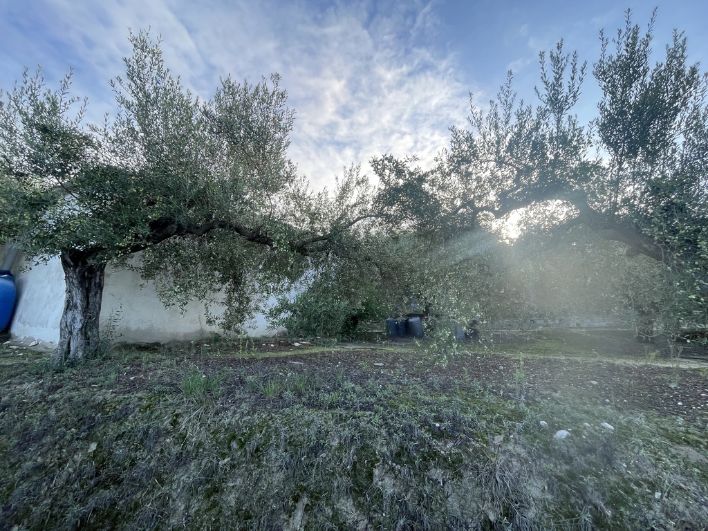 Parcela Agrícola - Ontinyent