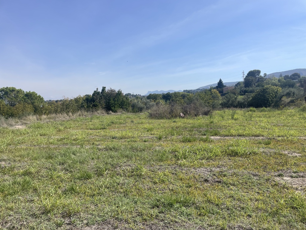 Parcela rústica - Ontinyent