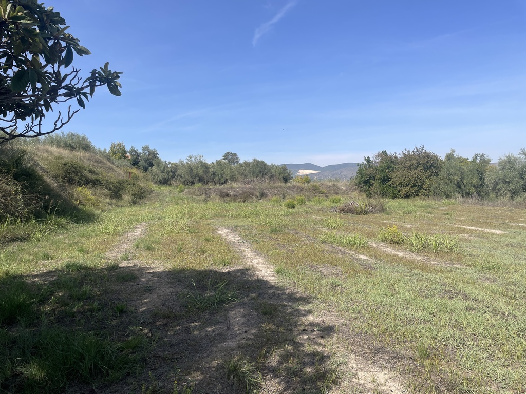 Parcela rústica - Ontinyent