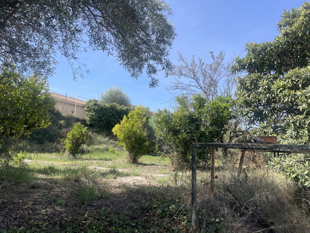 Parcela rústica - Ontinyent