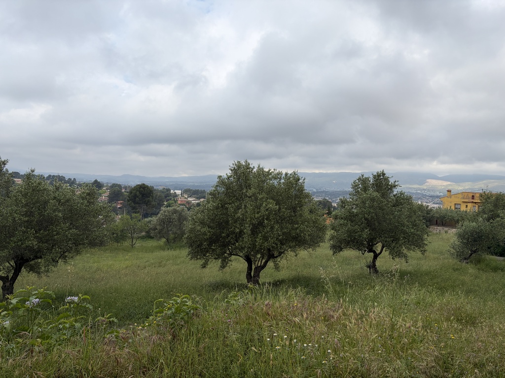 parcela urbanizable - Ontinyent