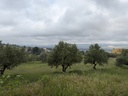 parcela urbanizable - Ontinyent