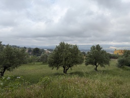 parcela urbanizable - Ontinyent