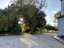 Chalet Ontinyent