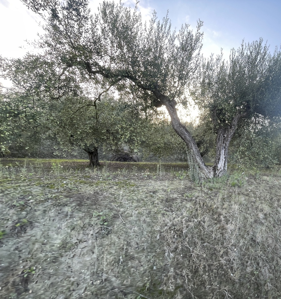 Parcela Agrícola - Ontinyent