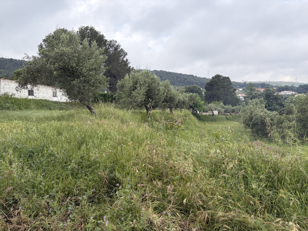 [AL/000887] parcela urbanizable - Ontinyent