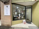 Bajo Comercial - San José