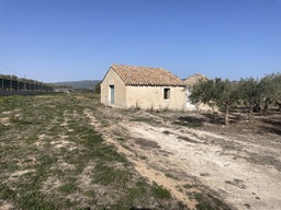 Parcela rústica Ontinyent