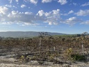Parcela rústica - Ontinyent
